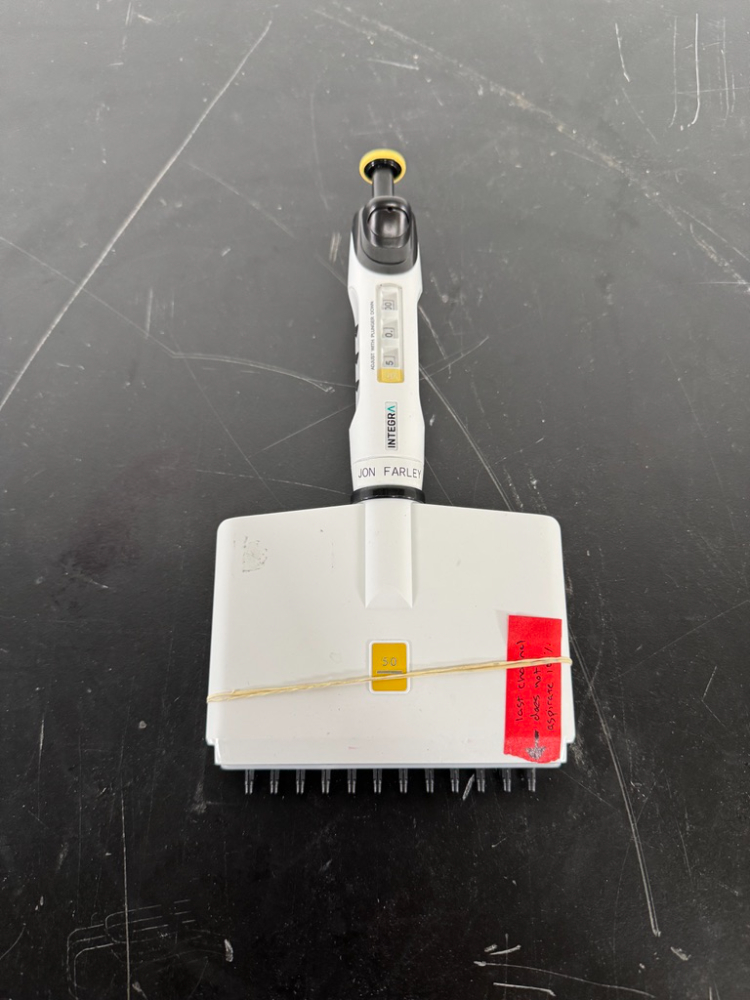 Image of Integra 50uL Multichannel Pipette